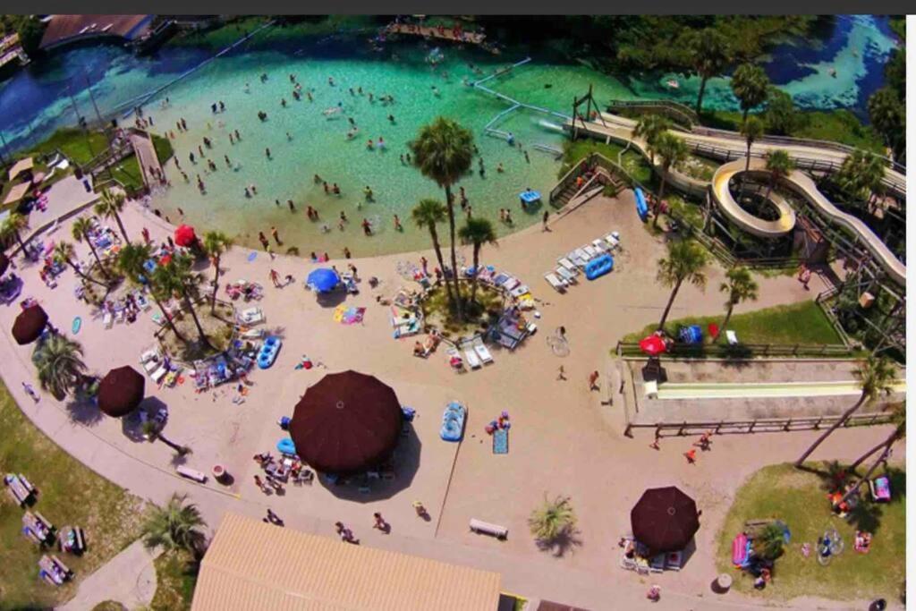 Manatee Oasis Weeki Wachee Family Fun Pool Home Spring Hill Extérieur photo